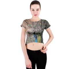 Peacock Bird Animal Peafowl Crew Neck Crop Top by Perong