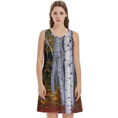 White Birch Trees Autumn Round Neck Sleeve Casual Dress With Pockets by Perong