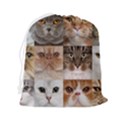 Breeds Of Cats Collage Drawstring Pouch (2XL) View2