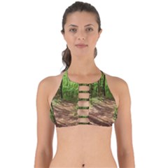 Peaceful Green Forest Walk Perfectly Cut Out Bikini Top by ExtraAwesomeSauce