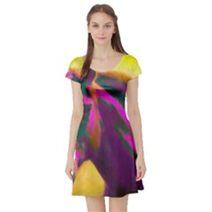 Vibrant Abstract Equine Art Short Sleeve Skater Dress by ExtraAwesomeSauce