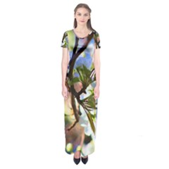 Springtime Pear Tree Blossoms Short Sleeve Maxi Dress by ExtraAwesomeSauce