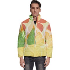 Citrus Fruit Healthy Vitamin Men s Puffer Bubble Jacket Coat by Paksenen