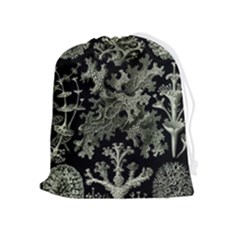 Weave Haeckel Lichenes Photobionten Drawstring Pouch (xl) by Cemarart