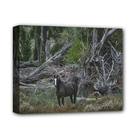 Meadow Landscape, Los Altares, Chubut Province, Argentina Deluxe Canvas 14  X 11  (stretched) by dflcprintsclothing
