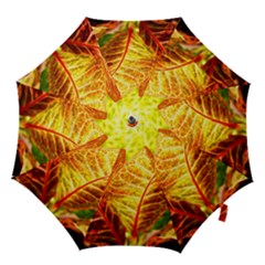 Leaves Plant Pattern Croton Nature Hook Handle Umbrellas (small) by Sabxi