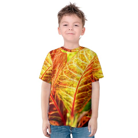 Leaves Plant Pattern Croton Nature Kids  Cotton T-shirt by Sabxi
