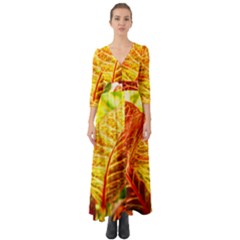 Leaves Plant Pattern Croton Nature Button Up Boho Maxi Dress by Sabxi