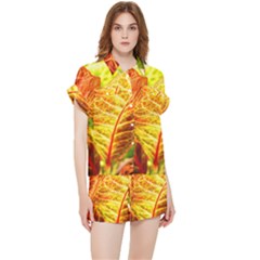 Leaves Plant Pattern Croton Nature Chiffon Lounge Set by Sabxi
