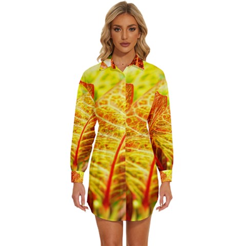Leaves Plant Pattern Croton Nature Womens Long Sleeve Shirt Dress by Sabxi