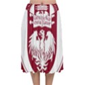 University of Chicago Velvet Flared Midi Skirt View1