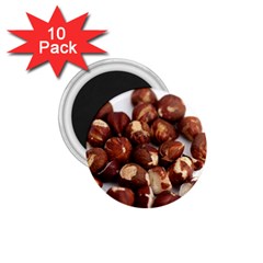 Hazelnuts 1 75  Button Magnet (10 Pack) by hlehnerer