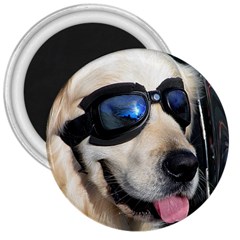 Cool Dog  3  Button Magnet by Siebenhuehner