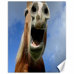 Haflinger  Canvas 11  X 14  (unframed) by Siebenhuehner