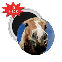 Haflinger  2 25  Button Magnet (10 Pack) by Siebenhuehner