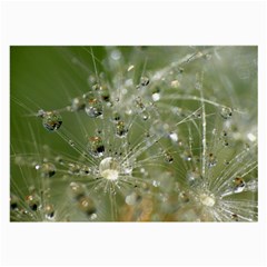 Dandelion Glasses Cloth (large, Two Sided) by Siebenhuehner