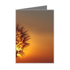 Dandelion Mini Greeting Card by Siebenhuehner
