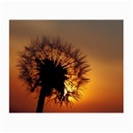 Dandelion Glasses Cloth (Small) Front