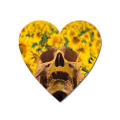 Sunflowers Magnet (heart) by icarusismartdesigns