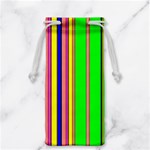 Hot Stripes Rainbow Jewelry Bags Back