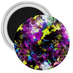 Colour Splash G264 3  Magnets by MedusArt