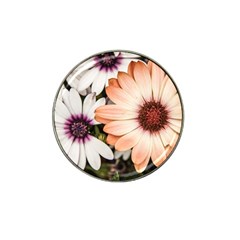 Beautiful Colourful African Daisies Hat Clip Ball Marker (4 Pack) by OZMedia