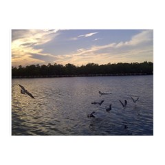 Intercoastal Seagulls 3 Double Sided Flano Blanket (mini)  by Jamboo