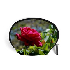 Red Rose 1 Accessory Pouches (small)  by trendistuff