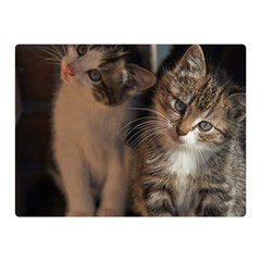 Cute Kitties Double Sided Flano Blanket (mini)  by trendistuff
