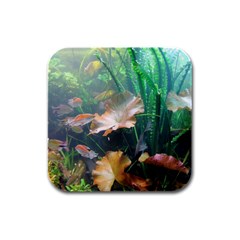 Marine Life Rubber Square Coaster (4 Pack)  by trendistuff