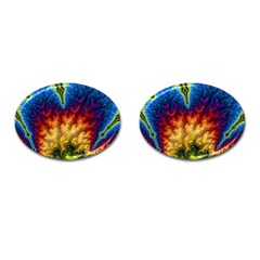 Amazing Special Fractal 25a Cufflinks (oval) by Fractalworld