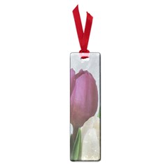 Tulips Small Book Marks by picsaspassion