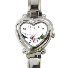 White Magnolia Pencil Drawing Art Heart Italian Charm Watch by picsaspassion