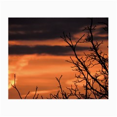Tree Branches And Sunset Small Glasses Cloth by picsaspassion
