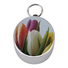 Colored By Tulips Mini Silver Compasses by picsaspassion