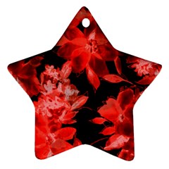 Red Flower  Ornament (star)  by Brittlevirginclothing