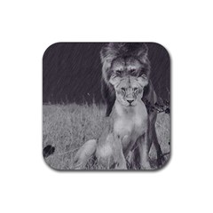 King And Queen Of The Jungle Design  Rubber Coaster (square)  by FrontlineS