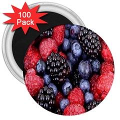 Forest Fruit 3  Magnets (100 Pack) by Nexatart