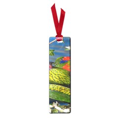 Beautifull Parrots Bird Small Book Marks by Nexatart