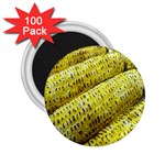 Corn Grilled Corn Cob Maize Cob 2.25  Magnets (100 pack)  Front