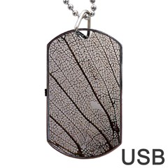 Sea Fan Coral Intricate Patterns Dog Tag Usb Flash (two Sides) by Amaryn4rt