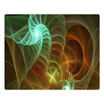 Art Shell Spirals Texture Double Sided Flano Blanket (Large)  Blanket Back