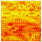 Bright Background Orange Yellow Canvas 12  x 12   11.4 x11.56  Canvas - 1
