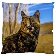 Adult Wild Cat Sitting And Watching Standard Flano Cushion Case (one Side) by dflcprints