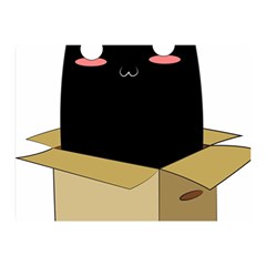 Black Cat In A Box Double Sided Flano Blanket (mini)  by Catifornia