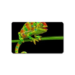 Chameleons Magnet (name Card) by Valentinaart