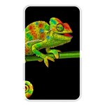 Chameleons Memory Card Reader Front