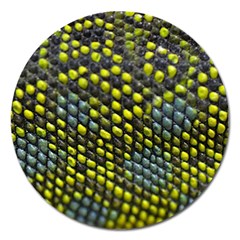 Lizard Animal Skin Magnet 5  (round) by BangZart