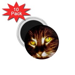 Cat Face 1 75  Magnets (10 Pack)  by BangZart
