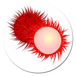 Rambutan Fruit Red Sweet Magnet 5  (Round) Front
